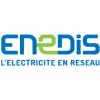 ENEDIS-logo-rvb